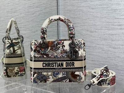 DIOR Handbags 1107